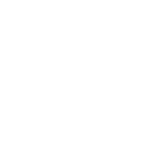 icon-tire